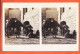 33851 / ⭐ ♥️ Stereo-Carte-Photo-Bromure LE CAIRE Chameaux Au Camels  Cairo 1910s S.I.P 32 Egypte Egypt - Cairo