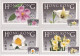 Flowers Of Hong Kong - 6 Maximum Cards 1985  Rif. S358 - Tarjetas – Máxima