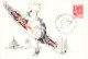 CARTE MAXIMUM #23589 NOUVELLE CALEDONIE NOUMEA 1993 CAGOU OISEAU - Maximumkarten