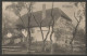 Carte P De 1913 ( Montmollin / Restaurant De Serroue ) - Montmollin