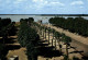 33 BLAYE PERSPECTIVE SUR LA GIRONDE - Blaye