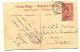 Congo Luebo Oblit. Keach 1.1-tDMY Sur Entier Postal Vers Liège Le 10/12/1920 - Lettres & Documents