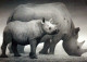 RINOCERONTE Animales Vintage Tarjeta Postal CPSM #PBS731.A - Rhinoceros