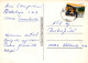 MARIPOSAS Animales Vintage Tarjeta Postal CPSM #PBS436.A - Mariposas