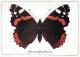 BUTTERFLIES Animals Vintage Postcard CPSM #PBS430.A - Papillons