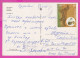 310120 / Bulgaria - Nessebar - Church Sunrise Panorama PC 1989 Sunny Beach USED 6 St. Dog Irish Setter Hunting Duck - Honden