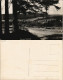 Ansichtskarte Neuhaus Im Solling-Holzminden Ortsansicht Echtfoto-AK 1955 - Holzminden