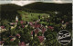 Wildemann (Innerstetal) Panorama-Ansicht "Klein-Tirol" Im Oberharz 1960 - Wildemann