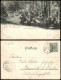 Ansichtskarte Kipsdorf-Altenberg (Erzgebirge) Waldgottesdienst 1898 - Kipsdorf