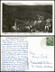 Ansichtskarte Schlangenbad Blick Vom Wilhelmsfelsen 1958 - Schlangenbad