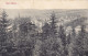 Deutsches Reich PPC Bad Elster. Panorama. Hermann Poy, Dresden. BAD ELSTER 1910 (2 Scans) - Bad Elster