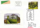 SCHUTZT DEN WALD,GRAZ FOREST- COVERS FDC AUSTRIA - Bomen