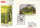 JAHR DES WALDES 1985- SCHUTZT DEN WALD FOREST COVERS FDC AUSTRIA - Trees