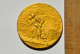 RARE Médaille En Bronze Doré OEUVRE NATIONALE DES ORPHELINS DE LA GUERRE - PAUL DUBOIS 1917 WW1 14 18 - Altri & Non Classificati