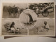 Greetings From Ceylon.Rickshaw,snake Charmer,bullock Cart,Elephant. - Sri Lanka (Ceylon)