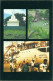 Lot Collection 13x Postcards Mauritius Island Rodrigues Íle Indian Ocean - Maurice