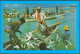 Lot Collection 13x Postcards Mauritius Island Rodrigues Íle Indian Ocean - Maurice