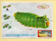 Kinder : BPZ N° C102 / Mille-pattes - Instructions