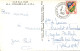 RECTO/VERSO - CPSM - ROQUEBILLIERE - VALLEE DE LA VESUBIE - CACHET 1960 - TIMBRE ALGER - Roquebilliere