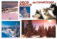 38 - Chamrousse - Multivues - Chiens Husky - CPM - Carte Neuve - Voir Scans Recto-Verso - Chamrousse