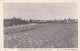 POSTCARD PORTUGAL - TRANCOSO - VISTA GERAL . ASPECTO DO NORTE - Guarda