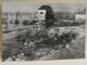 Cartolina Foto LUX Rovigo. Alluvione Novembre 1951. Desolazione Mentre Le Acque Si Ritirano. FG - Rovigo