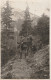 SL1816  --  CILLI  --  -  DER BESTE HUND,  DOG  --  1909  --  JAGD, HUNTING, CHASSE  --  FOTO POSTCARD - Slovénie