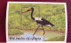 GHANA 1991 1 Bloc Neuf MNH BF 183 Ucello Oiseau Bird Pájaro Vogel - Ooievaars