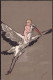 * Baby Storch Prägekarte Sign. Moe - Sonstige & Ohne Zuordnung