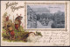 Gest. O-5800 Gotha Schloßberg Pfingsten Maikäfer Prägekarte 1901 - Gotha