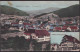 Gest. W-7633 Seelbach Trelenhof 1910 - Lahr