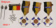 Militaria-insigne_Pélérinage_BE_FR_NL_CH_lot De 9 Médailles De Pélérinage Militaire_lot 01 - Belgique