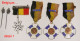 Militaria-insigne_Pélérinage_BE_FR_NL_CH_lot De 9 Médailles De Pélérinage Militaire_lot 01 - Belgium