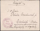 Gest., Brief Eigenhändiger Feldpostbriefumschlag Oberleutnat Uihlein, Die Einheit Wurde Im Dezember 1917 Als Sturm-Panze - Other & Unclassified