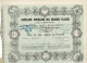 Titre De 1884 - Compagnie Houillère Des Grandes-Flaches Sous La Raison Sociale Bethenod, Bonnard & Cie - Déco - Mines