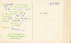 CK19. QSL Card. Radio Card. DL1XE - Bremerhaven, Germany. 1963 - Radio
