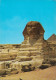 EGYPT - Giza - Sphinx - Used Postcard - Guiza