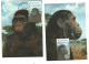 Czech Republic 2023 - Hominidae, Set 8 Cartes Maximum,  Self-adhesive Personalised Stamps, Nice Postmark - Prehistóricos