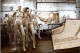 26-4-2024 (4 Y 10) Fashion (naked Women Mannequin) - Fashion