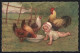 Künstler-AK E. Colombo: Kleines Kind Mit Hühnern An Der Futterschale  - Colombo, E.