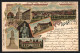 Lithographie Meuselwitz, Orangerie Im Schlossgarten, Schloss, Rathaus Mit Stadthaus  - Meuselwitz