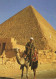 122430 - Gizeh - Giza - Ägypten - Cheopspyramide - Guiza