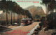 AFRIQUE DU SUD - Cape Town - Camp's Bay Car And Bend In Kloof Road - Colorisé - Carte Postale Ancienne - Zuid-Afrika