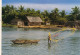 CPM GF-37027- Sri Lanka (Ceylan)-Fishing In The Lagoon ( Pub Tee Voir Scan Verso)-Livraison Offerte - Sri Lanka (Ceylon)