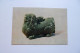 Celadon Lion - Shaped  -  Vessel  -  Western Tsin Dynasty      -  CHINE  -  CHINA - China