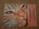 Pocket Calendar Hungary 2023 - Cat - Petit Format : 2001-...