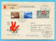 Ersttagsbrief Pro Patria 1953 Auf P2 - Cartas & Documentos