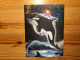 Postcard - Dolphin, Lenticular, 3D - Delphine