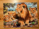 Postcard Hungary - Lion - Lions