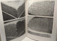 Delcampe - Studi Etruschi Vol. XLII (serie III) 1974 / Istituto Di Studi Etruschi Ed Italici - Arqueología